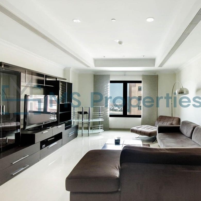 Modern 1BHK Apartment with a Stunning View