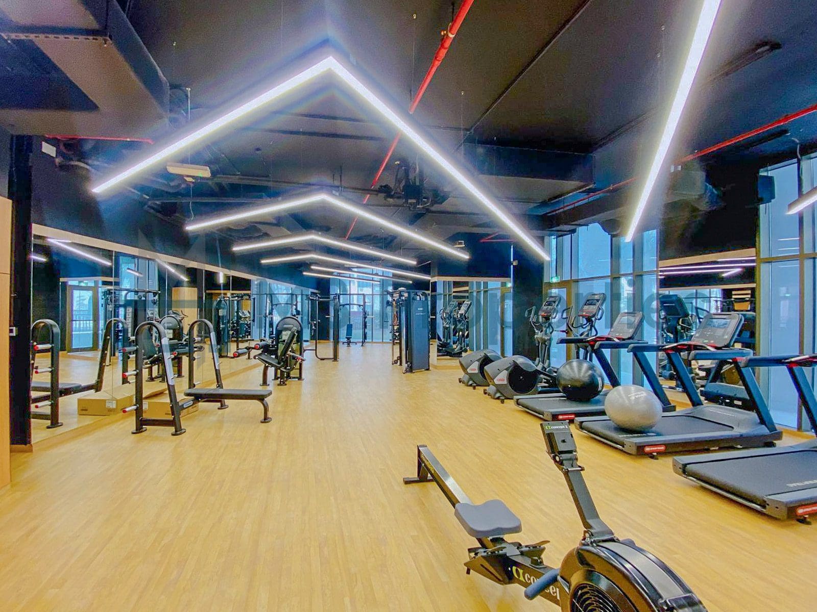 Brand New 1BHK Luxurious Flat for Rent in ThePearl